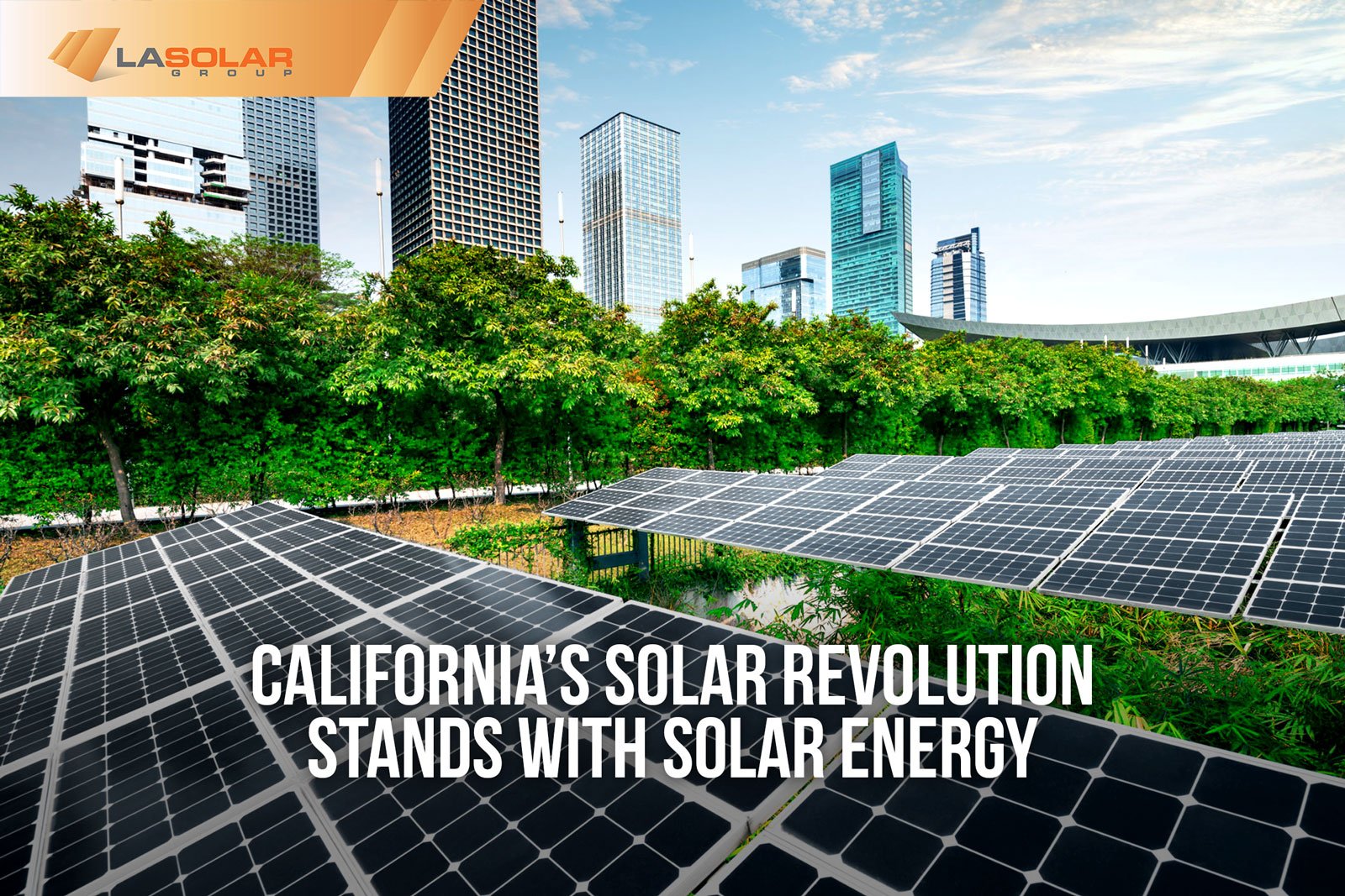 Read more about the article California’s Solar Revolution Stands With Solar Energy