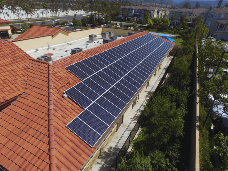 Read more about the article Rooftop Solar Vs Utility Scale Solar